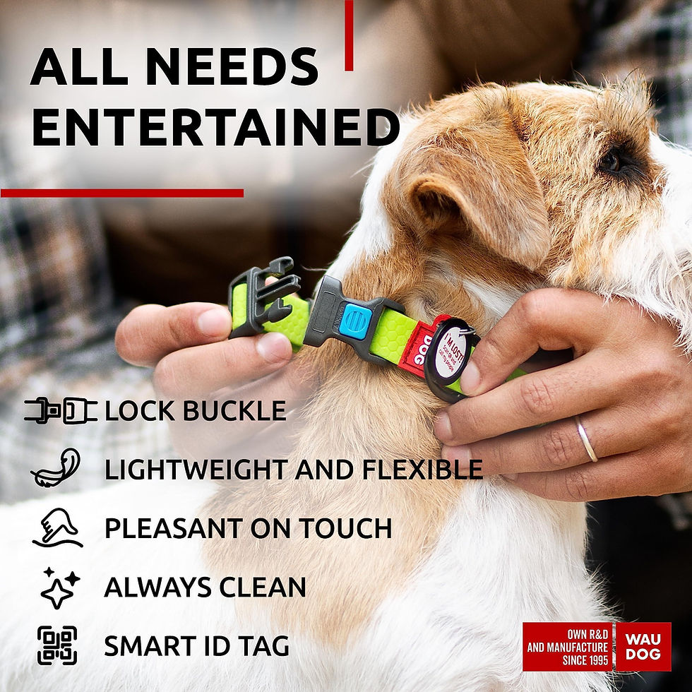 Thumbnail: Waterproof Dog Collar Adjustable Dog Collar 914 in Neck x 3/5 in Wide