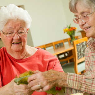 Transforming Senior Care: How AgingIN and The Green House Project Are Innovating for Seniors