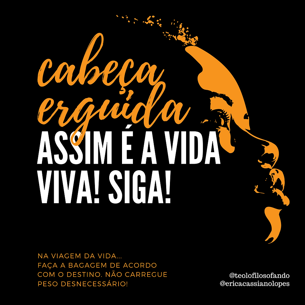 44 - Copia