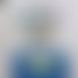 記念切手・普通切手