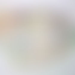 記念切手・普通切手