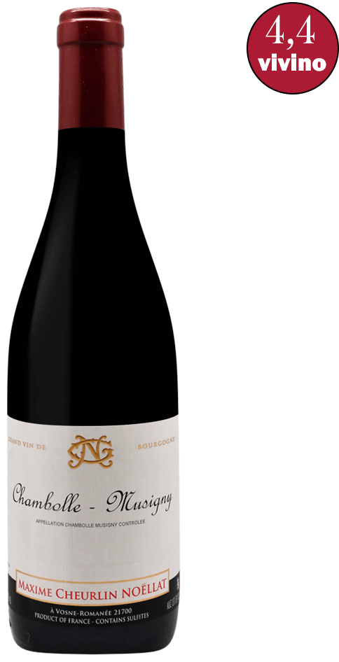 CHAMBOLLE-MUSIGNY Rouge 2021 MAXIME CHEURLIN NOELLAT