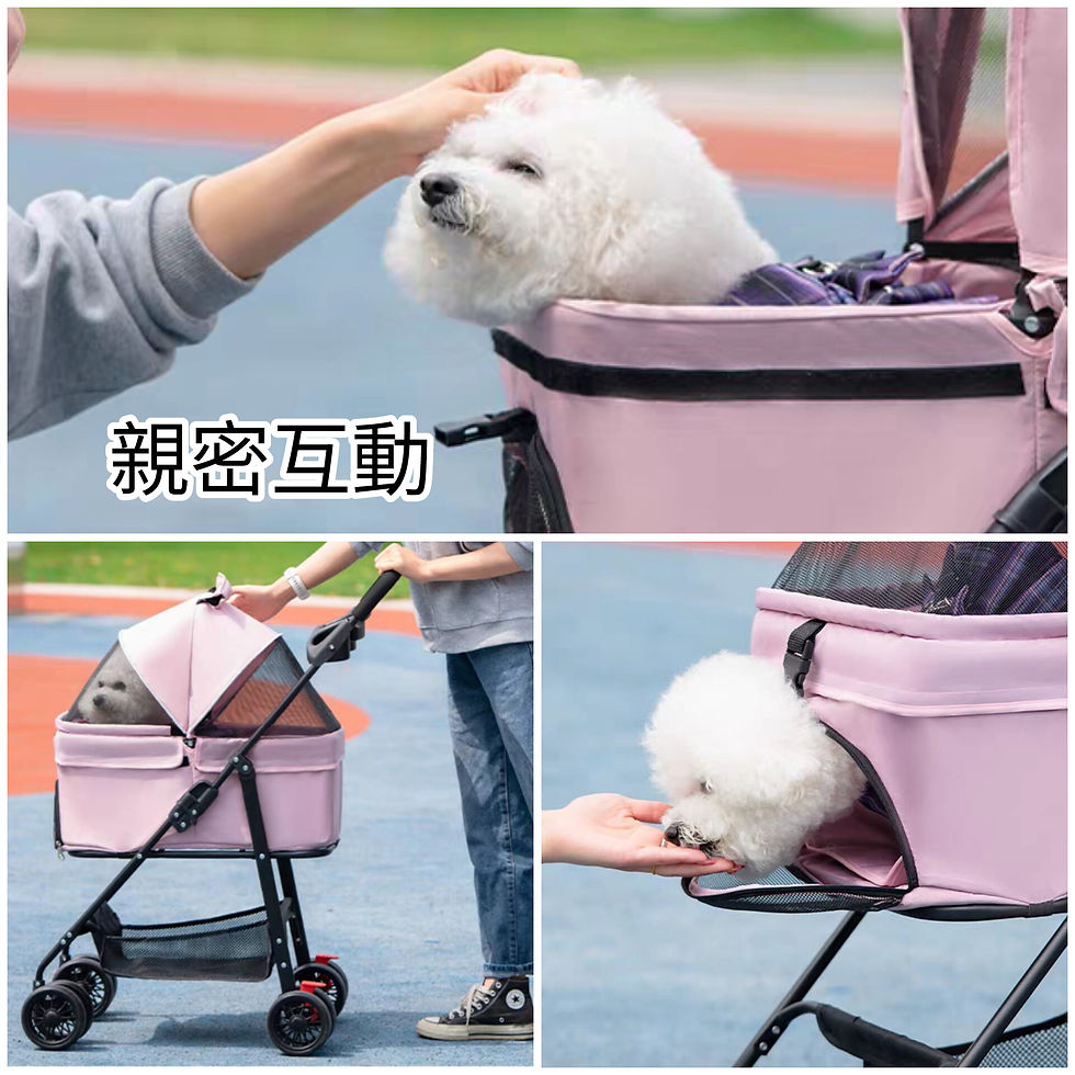 Thumbnail: 寵物可折叠手推車, 寵物車 | Pet's Outgoing Foldable Stroller
