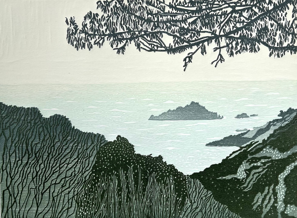 The Bay Below Coleton Fishacre