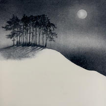 Winter Moon