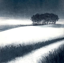 Winter Copse