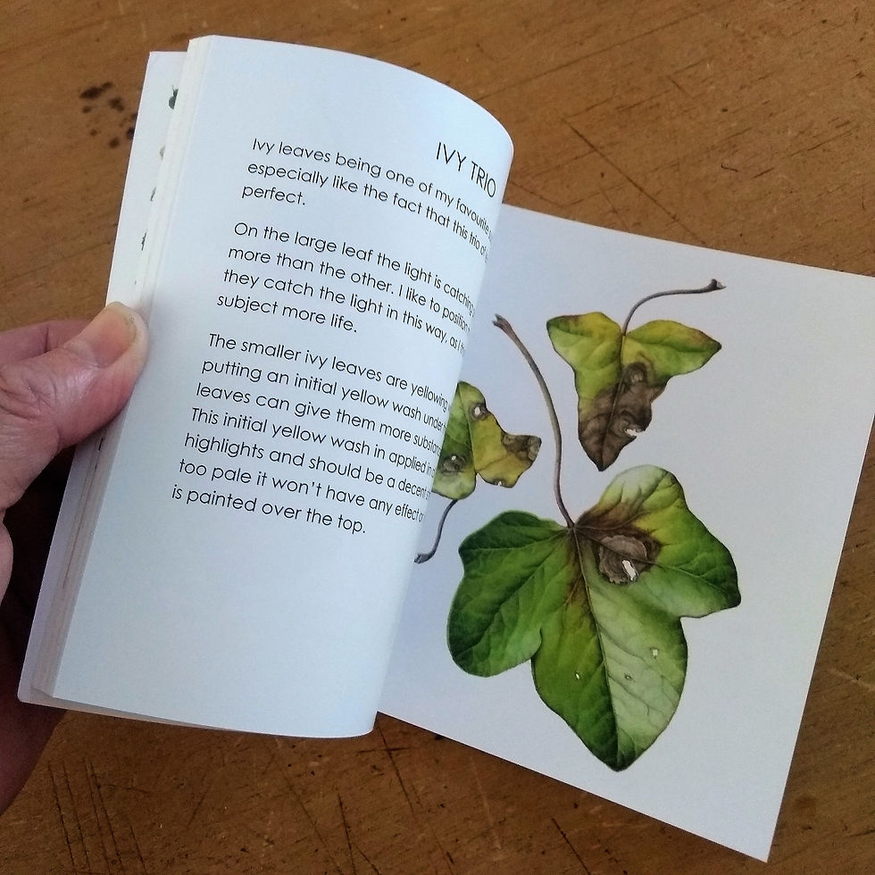 Thumbnail: LEAVES - Observations in watercolour (UK shipping only)