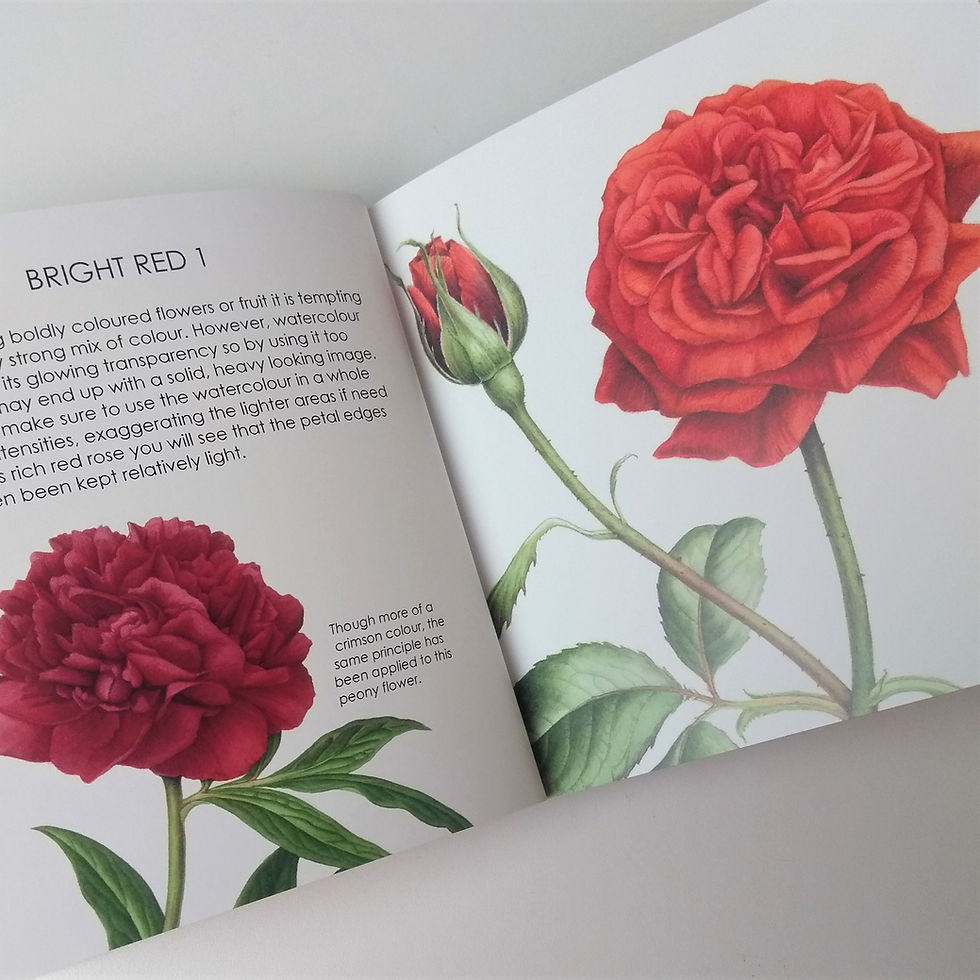 Thumbnail: COLOUR - observations in botanical art (UK shipping only)