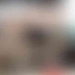 San Francisco Sushi Class November 14, 2015 3