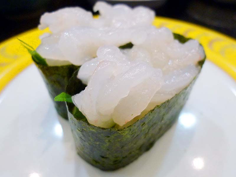 Rare Sushi Ingredients Shiro Ebi (White Shrimp), Toyama, Japan