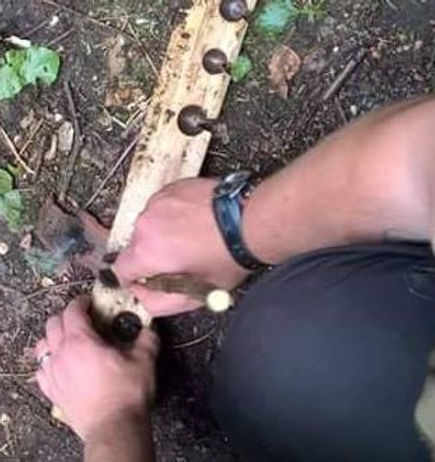 Bow drill.jpg