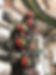 IMG_5073.jpeg