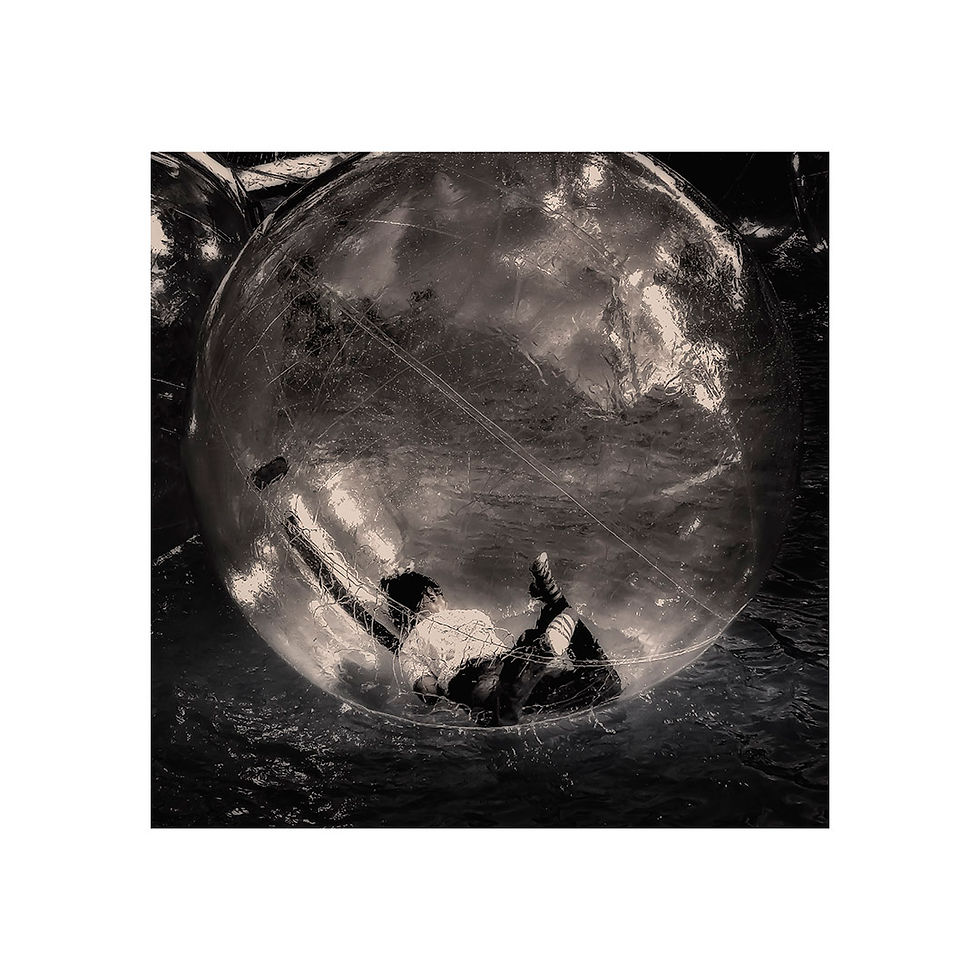 Miniature : L. STERY - DSC05877