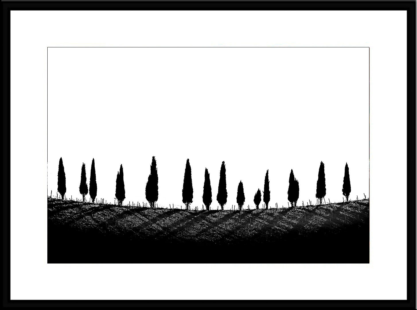 STEPHANE CHERY - CDSC1249