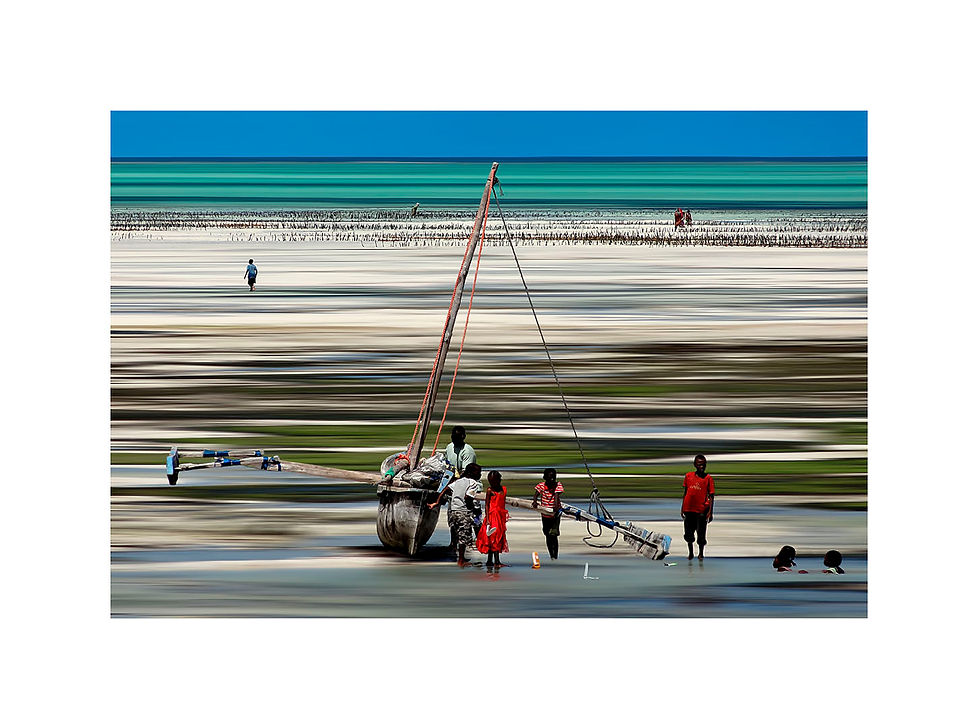 Miniature : STEVE RYCH - DSC01563