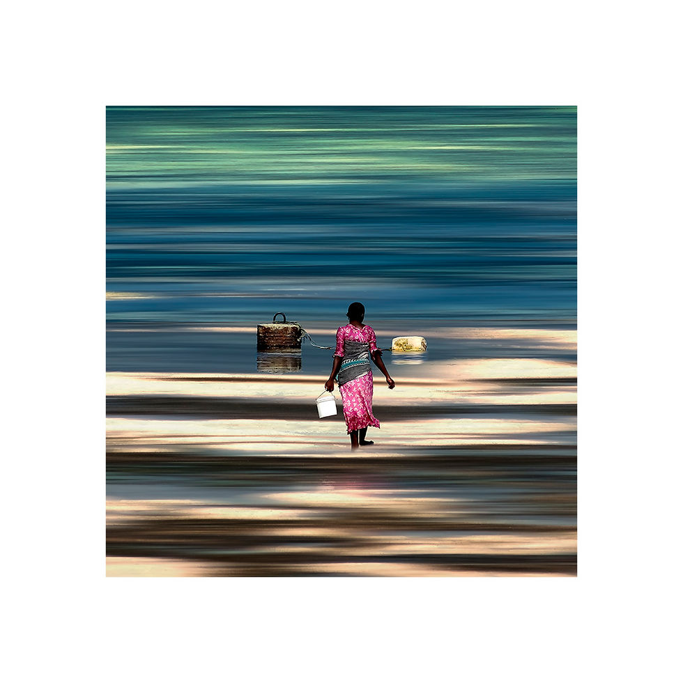 Thumbnail: STEVE RYCH - DSC01706