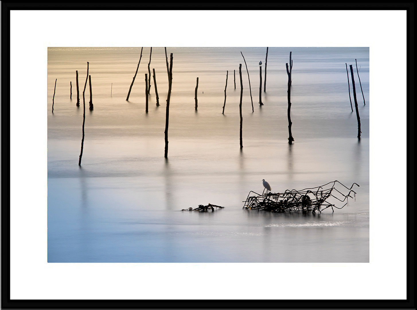 STEPHANE CHERY - RXD7897