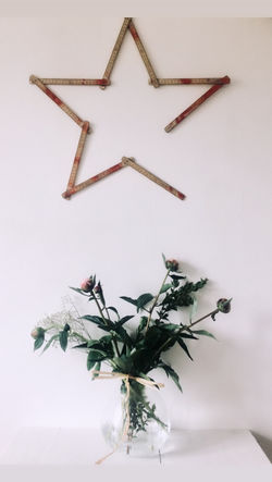 Stella decorativa