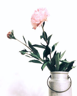 Idee di Arredamento semplici e romantiche
