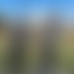 Velká Cena Startu Brno-Memoriál P. Jaška-Pohár ČLS