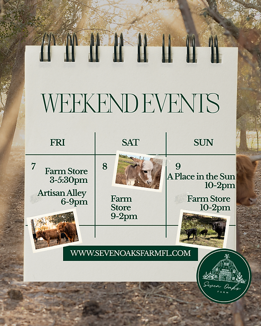 Green Simple Minimalist Weekend Events Schedule Instagram Post (1).png