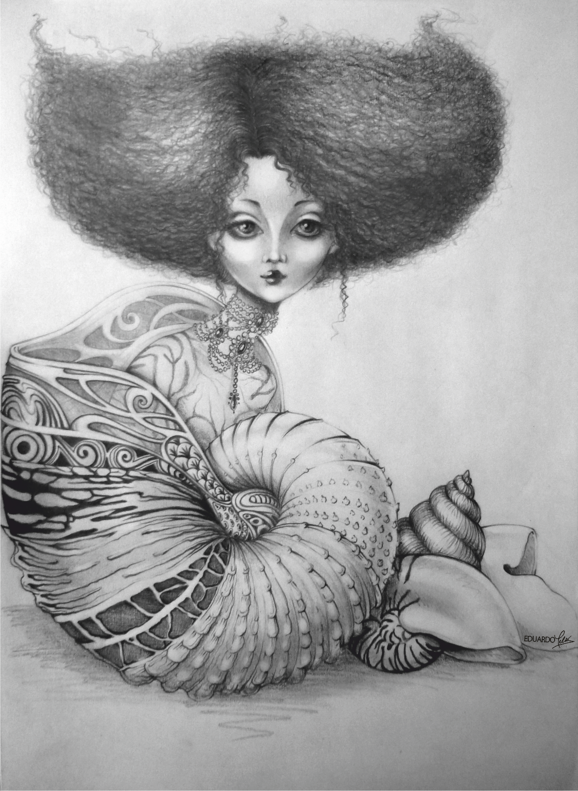 ANIMALIA NAUTILUS.png