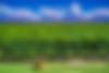 shutterstock_565073467.jpg