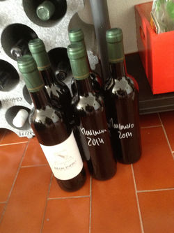 Quinta Malapique - 576.jpg