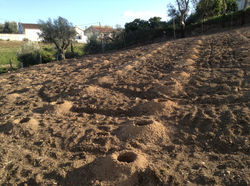 Quinta Malapique - 460.jpg
