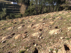 Quinta Malapique - 457.jpg