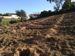 Quinta Malapique - 461.jpg