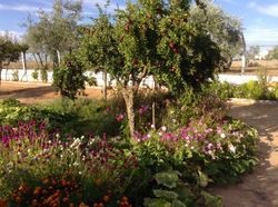 Quinta Malapique - 602.jpg