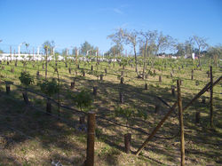 Quinta Malapique - 017.jpg