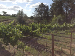 Quinta Malapique - 351.jpg