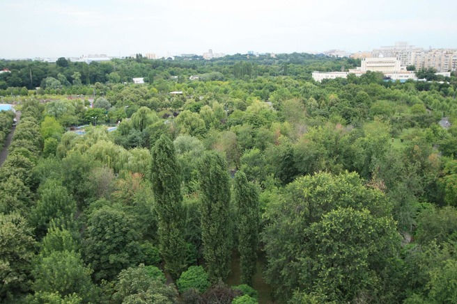 Apartamente Tineretului Park View 8