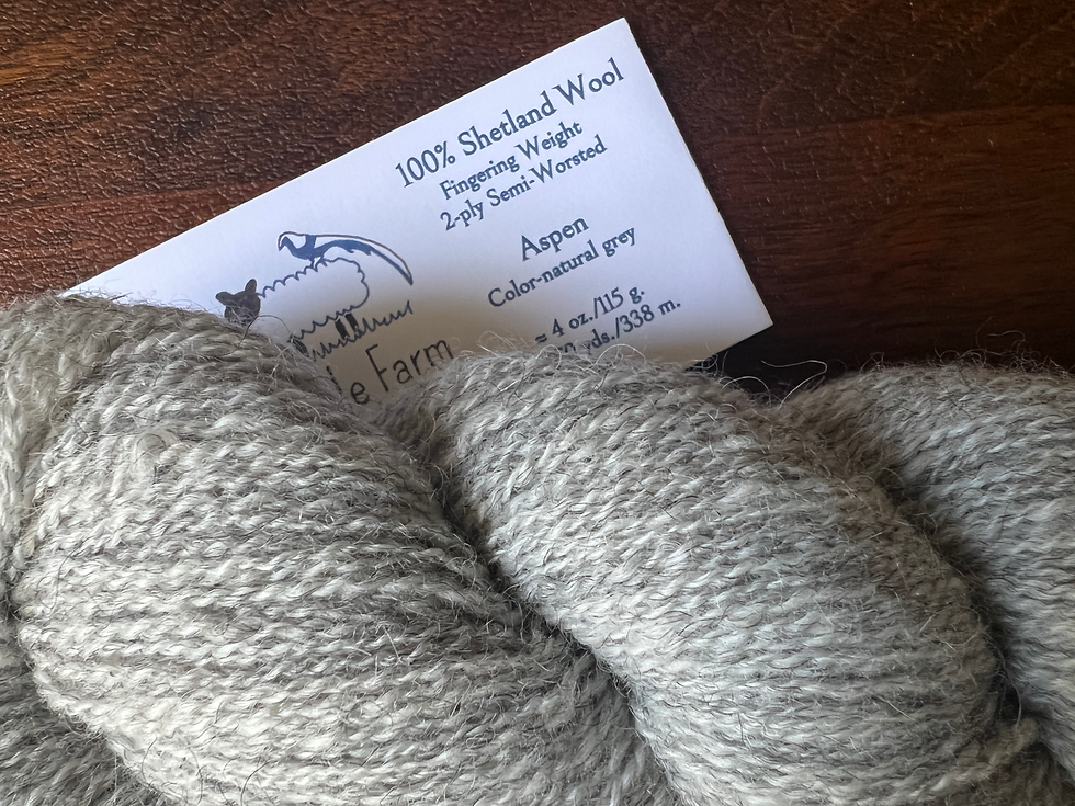 Thumbnail: Aspen - Fingering Weight 4oz. Skein ASP-03