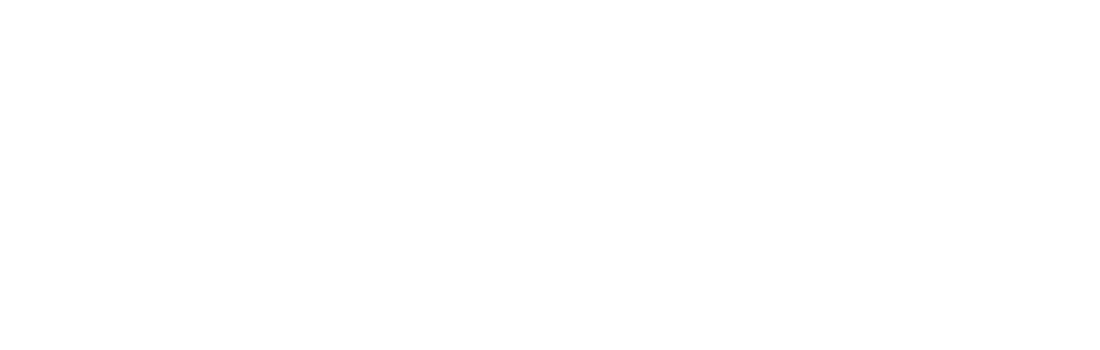 Logo Boat Trips Croatia (160 x 51 px) (1600 x 510 px) (1).png