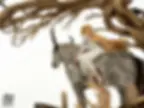 Thumbnail: 【PRE-ORDER】Bard Studio - Miquella Young Ver. (Elden Ring) GK