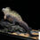 Thumbnail: 【PRE-ORDER】Aphid Studio - Planet Earth - Marine Iguana (Licensed) Resin Statue