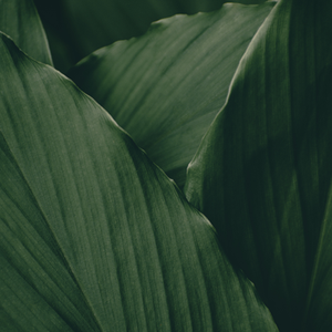 Thyroid Health and Anxiety: When “Just Stress” Is Actually Biological