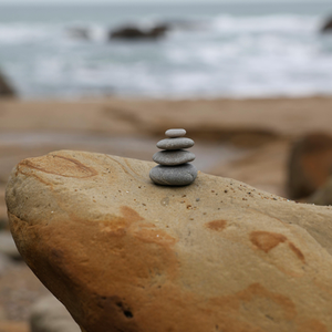 Cortisol Patterns: Understanding Burnout Through Your Stress Hormone