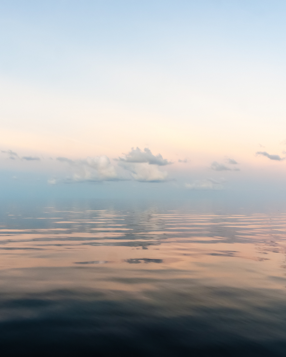 Iron, Ferritin, and Mental Health: The Overlooked Fatigue Factor