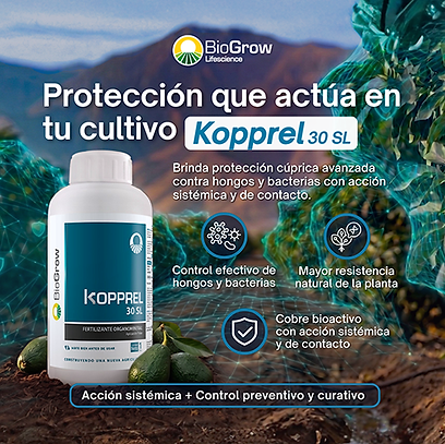 Kopprel 30SL.png