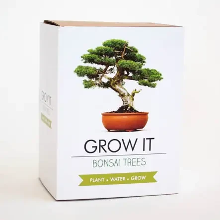 Bonsai Trees Grow It