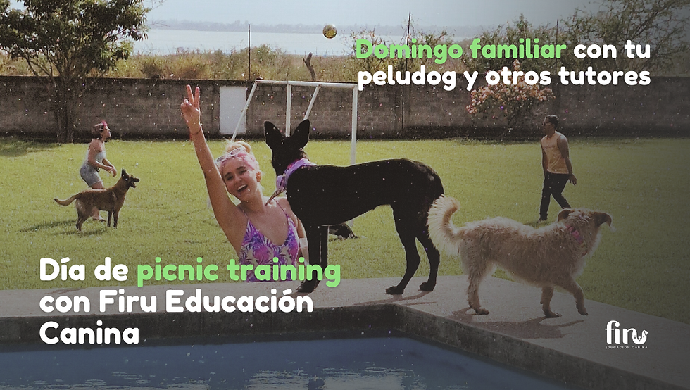 Paw-nic Training: Un día de picnic y Educación Canina 🌳🍃