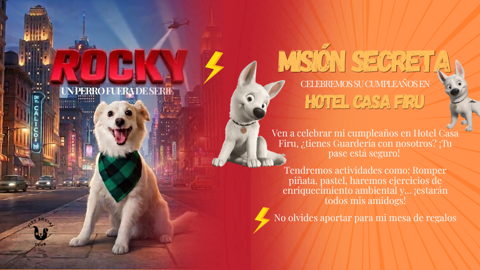 Rocky: Un perrito fuera de serie ⚡