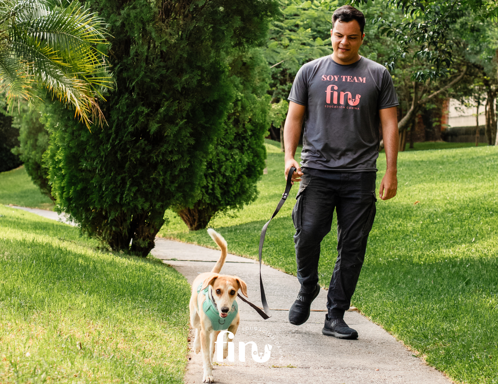 Correa Polipropileno para perro