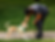 Correa Polipropileno para perro