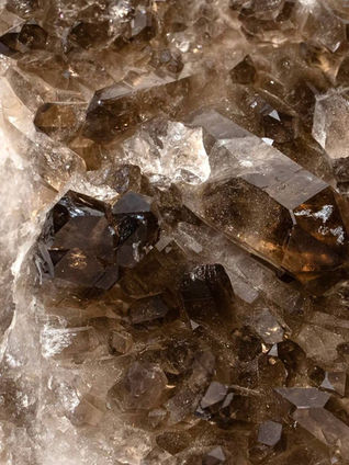 Facets of a Cowboy’s Love