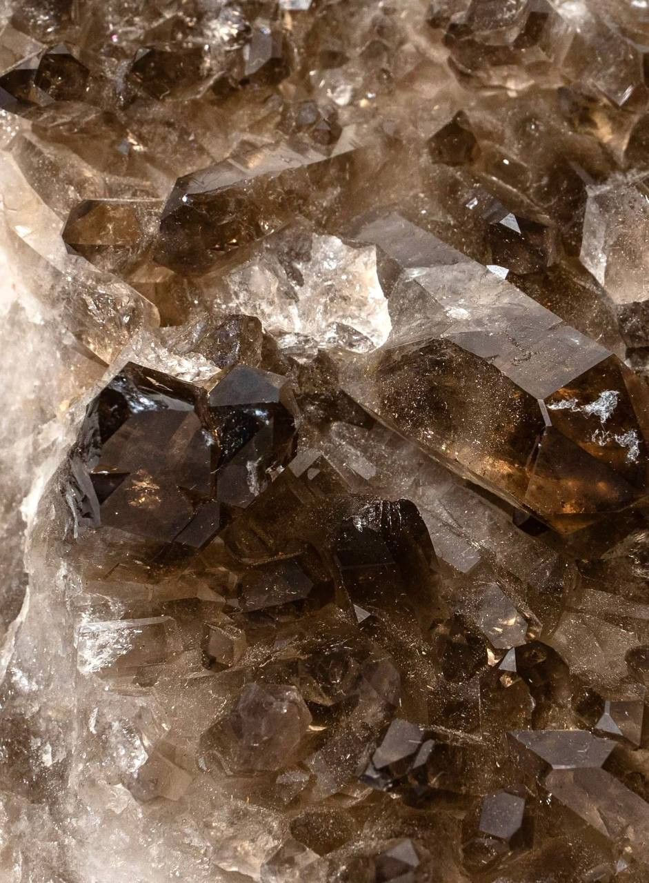 Facets of a Cowboy’s Love